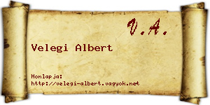 Velegi Albert névjegykártya