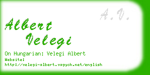 albert velegi business card